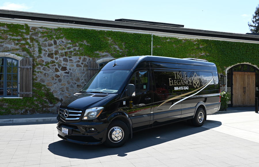 True Elegance Worldwide