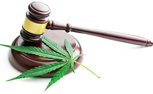 Legal Ease cannabis use