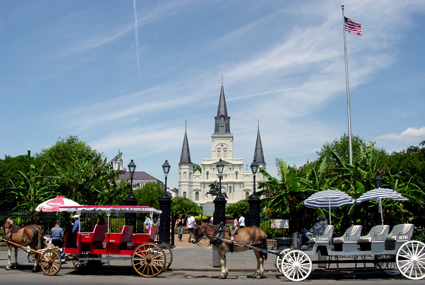 Carriage rides NOLA