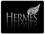 Hermes Worldwide